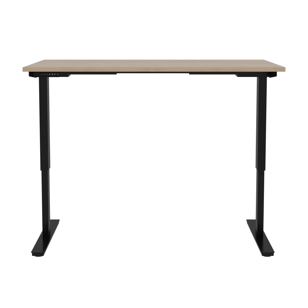 Electric Standing Desk - Image 11