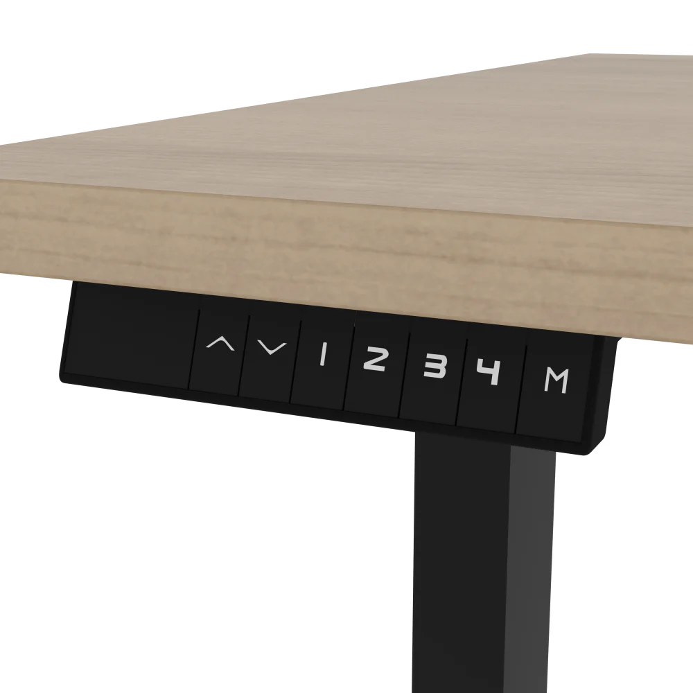 Electric Standing Desk - Image 12