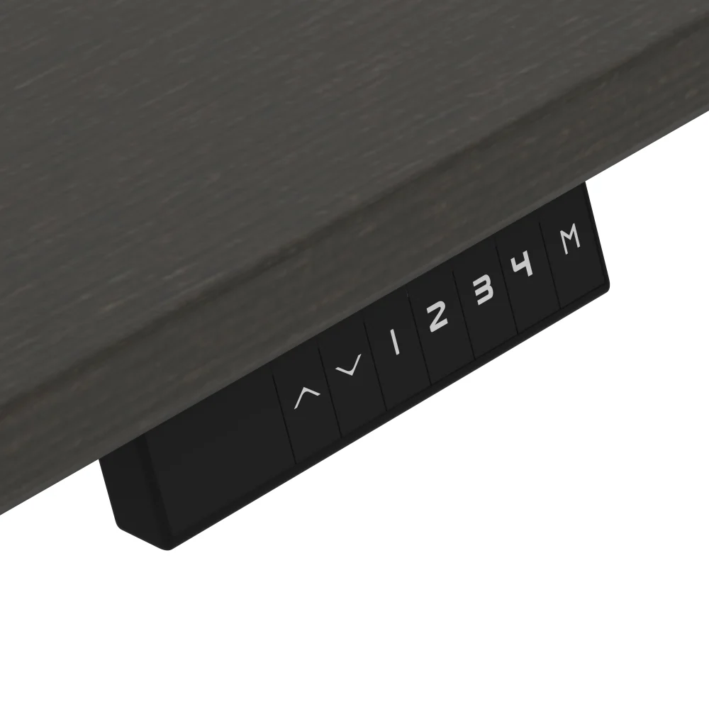 Electric Standing Desk - Image 216